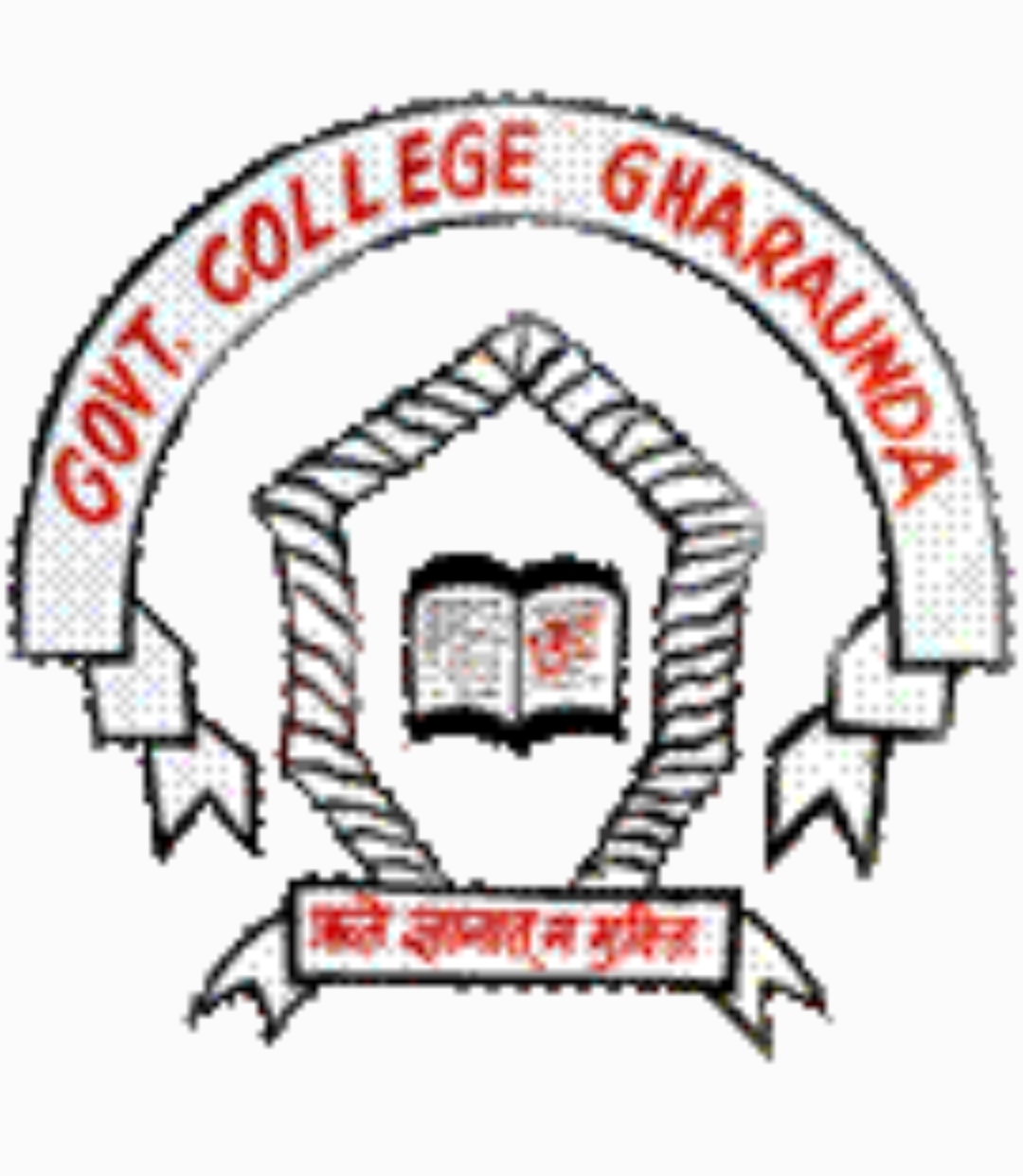 College Logo